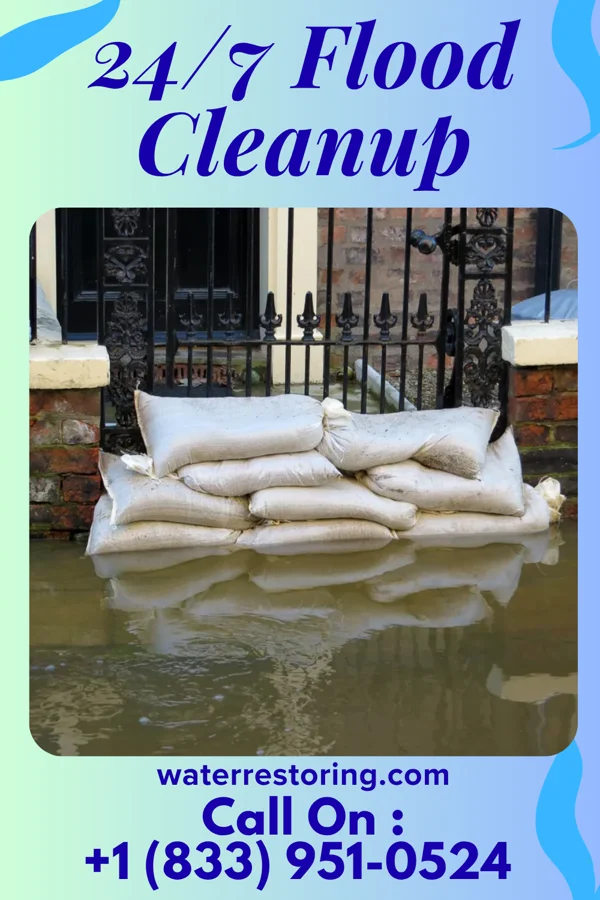 24/7 Flood Cleanup in Mount Vernon, MO