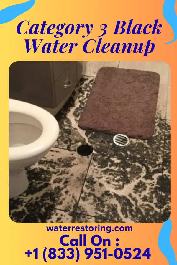 Category 3 Black Water Cleanup in Mount Vernon, MO
