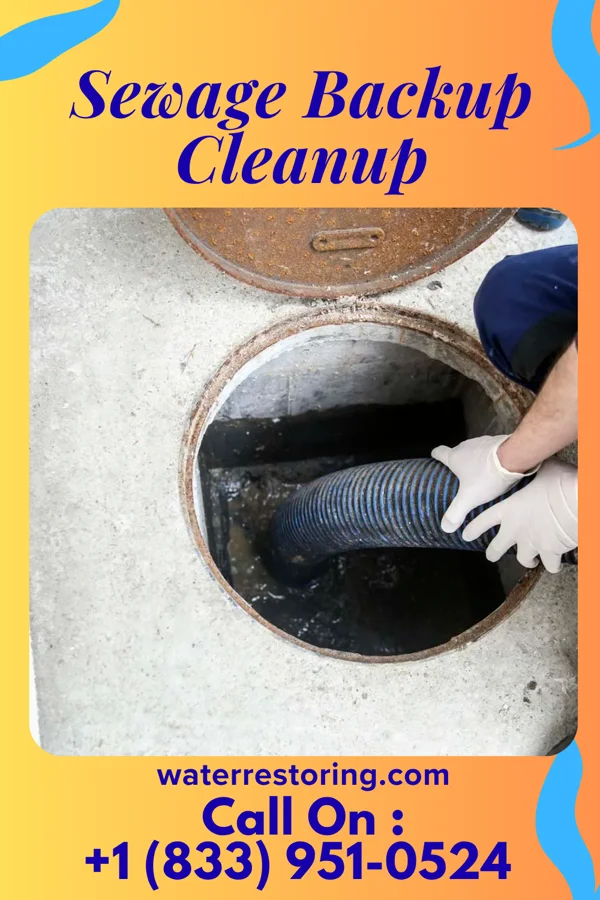 Sewage Backup Cleanup in Mount Vernon, MO