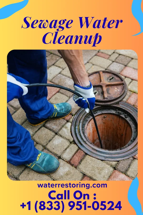 Sewage Water Cleanup in Mount Vernon, MO